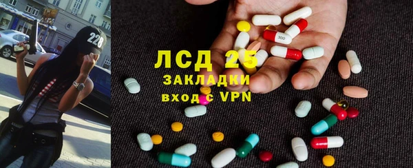 spice Новодвинск