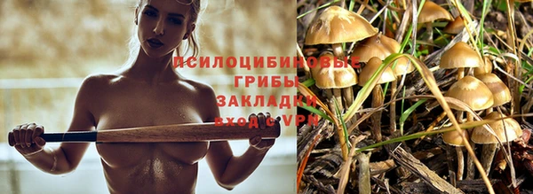 spice Новодвинск
