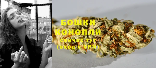 spice Новодвинск