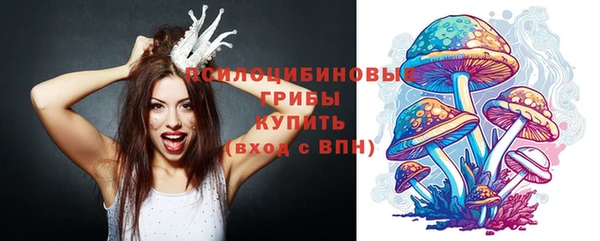 spice Новодвинск