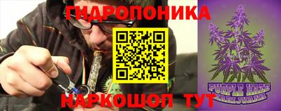 сатива Азнакаево