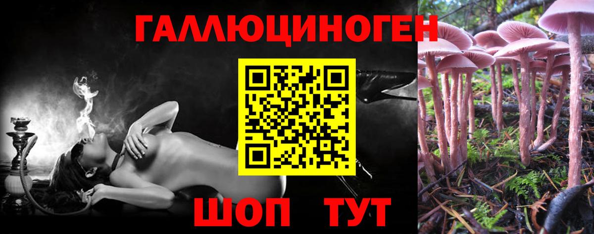 Галлюциногенные грибы Psilocybine cubensis  Новотроицк 