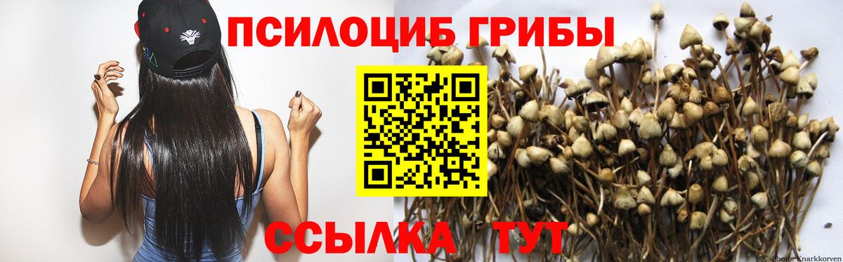 Псилоцибиновые грибы Magic Shrooms  Вход с VPN  что такое наркотик  Новотроицк 